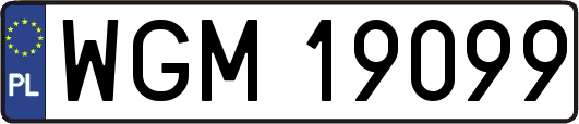 WGM19099