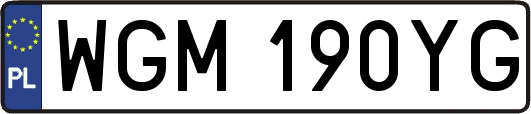 WGM190YG