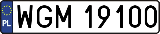 WGM19100