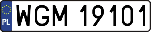 WGM19101