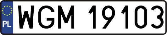 WGM19103