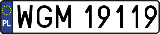 WGM19119