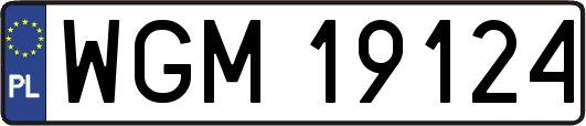 WGM19124