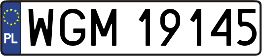 WGM19145