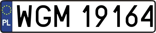WGM19164