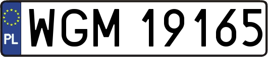 WGM19165