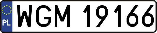 WGM19166
