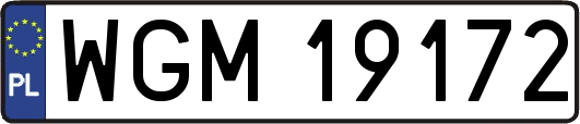 WGM19172