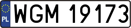 WGM19173