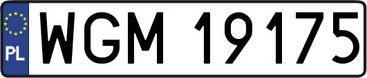 WGM19175