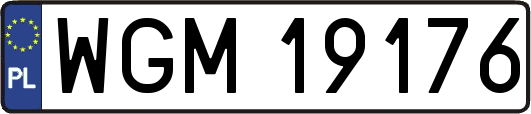 WGM19176