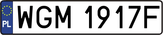 WGM1917F