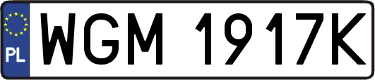 WGM1917K
