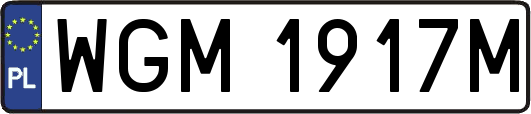 WGM1917M
