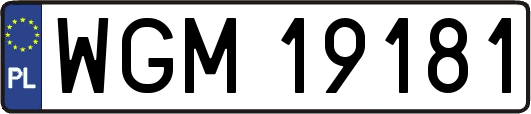 WGM19181