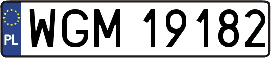WGM19182