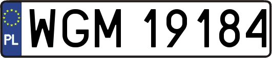 WGM19184