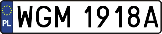 WGM1918A