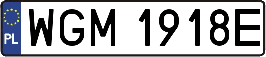 WGM1918E