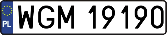 WGM19190