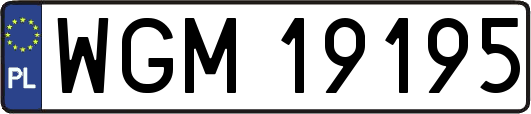 WGM19195