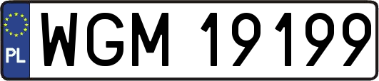 WGM19199