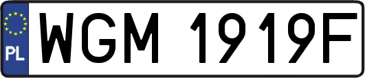 WGM1919F