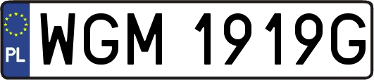 WGM1919G