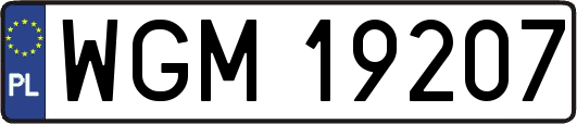 WGM19207