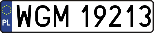 WGM19213