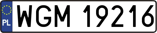 WGM19216