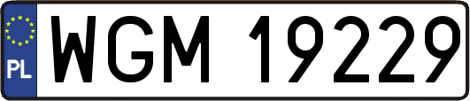 WGM19229