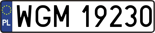 WGM19230