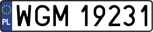 WGM19231
