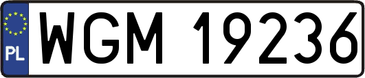 WGM19236