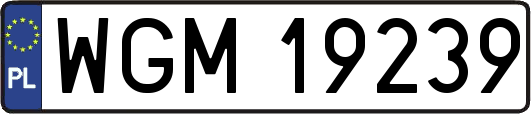 WGM19239