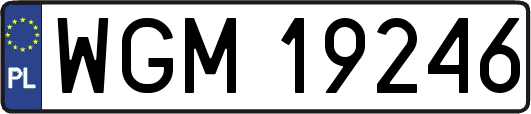 WGM19246