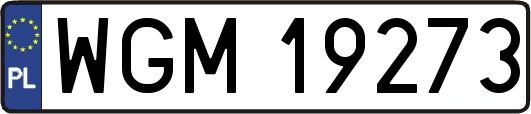 WGM19273