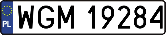 WGM19284