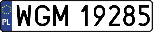 WGM19285