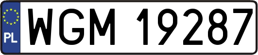 WGM19287