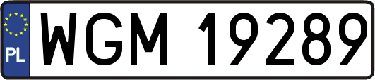 WGM19289