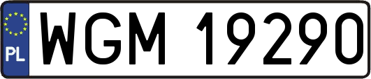 WGM19290