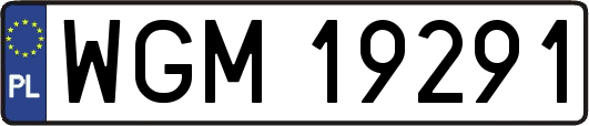 WGM19291