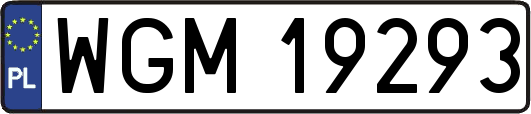 WGM19293