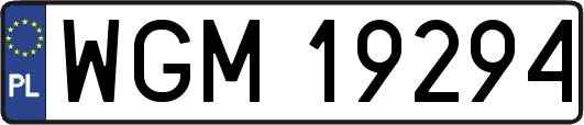 WGM19294