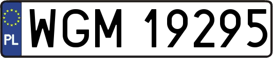 WGM19295
