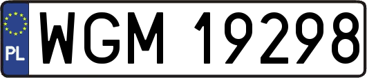 WGM19298