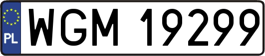 WGM19299