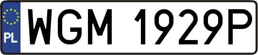 WGM1929P